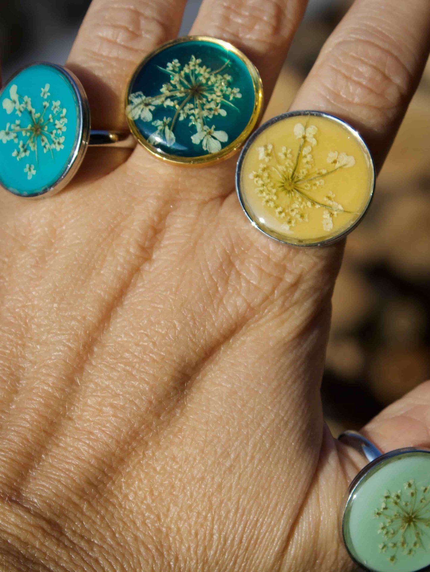 Anello Cimelia Carota Selvatica