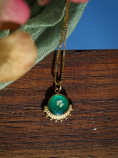 Collana Cimelia Carota Selvatica