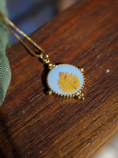 Collana Cimelia Olmo