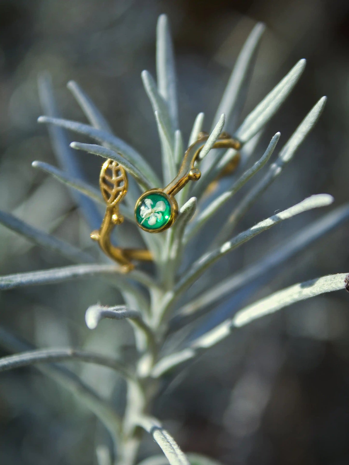 Anello Lilliput Foglia, Carota Selvatica