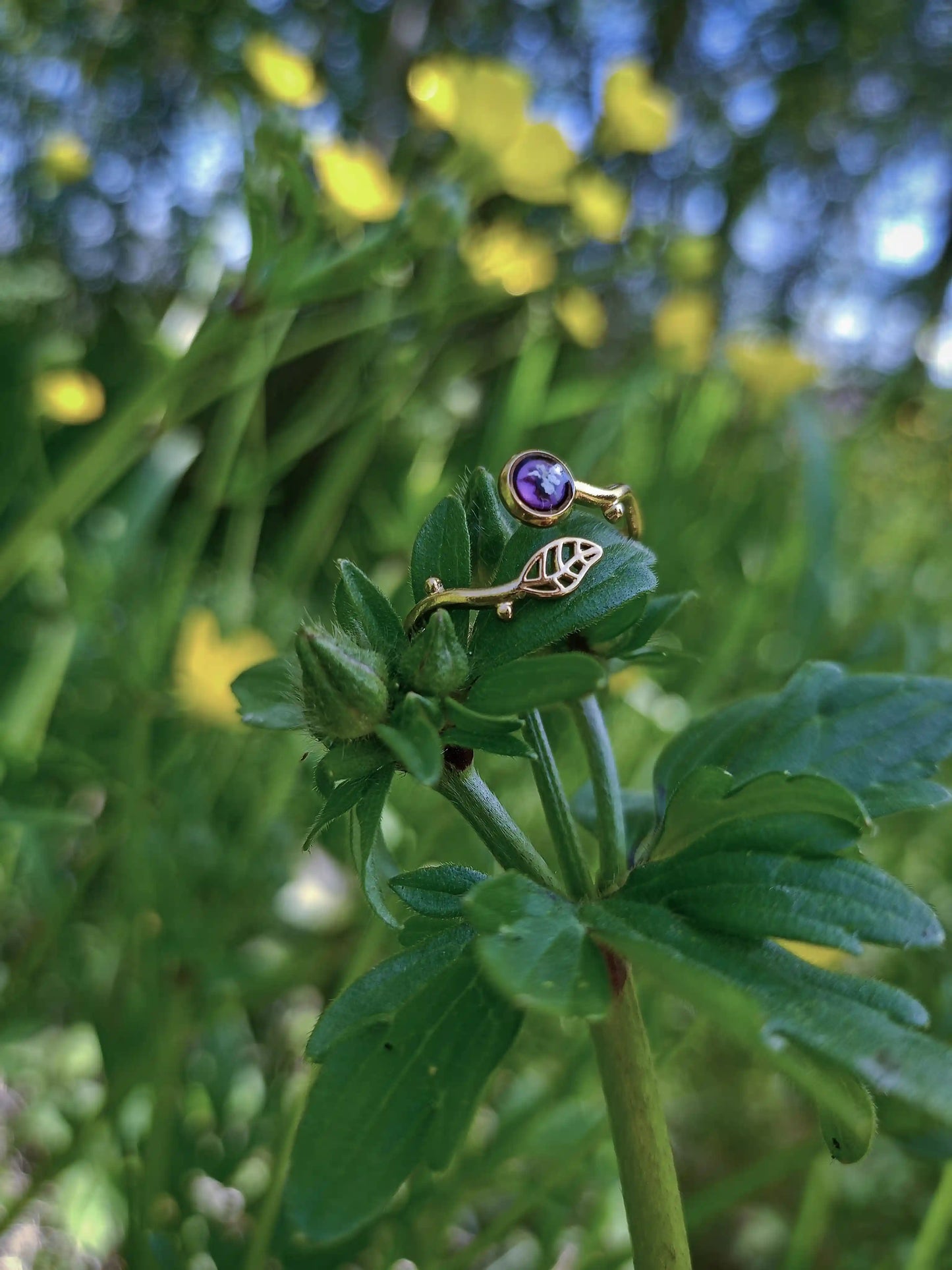 Anello Lilliput Foglia, Carota Selvatica
