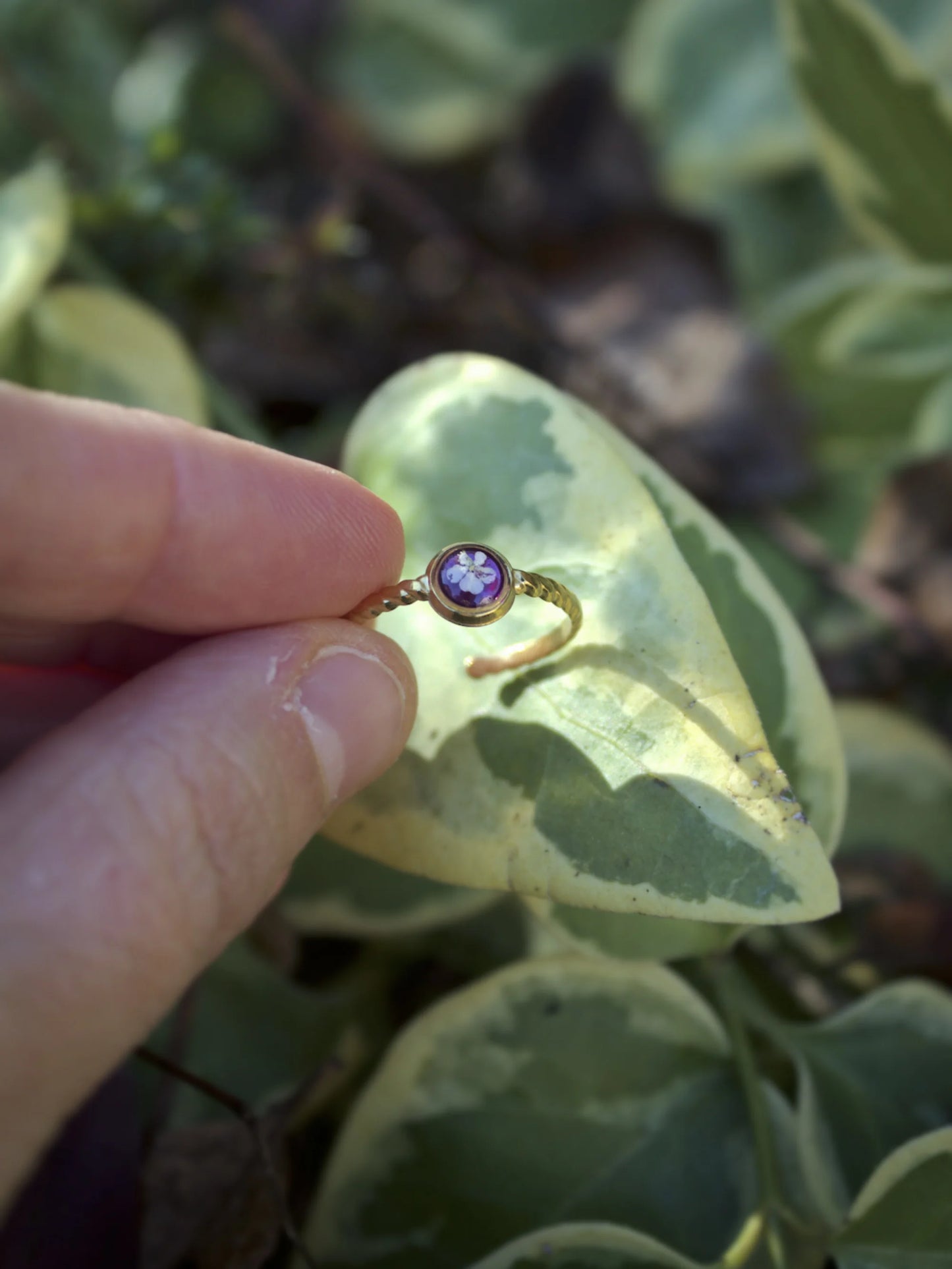 Anello Lilliput Classico