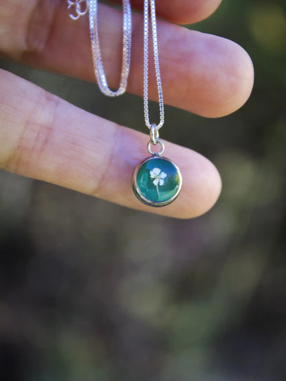 Collana Essenze Carota Selvatica